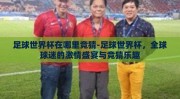 足球世界杯在哪里竞猜-足球世界杯，全球球迷的激情盛宴与竞猜乐趣