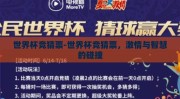 世界杯竞猜票-世界杯竞猜票，激情与智慧的碰撞