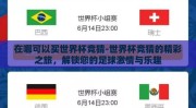 在哪可以买世界杯竞猜-世界杯竞猜的精彩之旅，解锁您的足球激情与乐趣