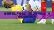 在哪里看世界杯盘口-探索世界杯盘口，球迷的观赛新视角