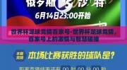 世界杯足球竞猜百家号-世界杯足球竞猜，百家号上的激情与智慧碰撞