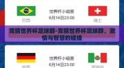 竞猜世界杯足球群-竞猜世界杯足球群，激情与智慧的碰撞