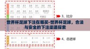 世界杯足球下注在哪买-世界杯足球，合法与安全的下注渠道探索