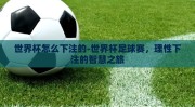 世界杯怎么下注的-世界杯足球赛，理性下注的智慧之旅