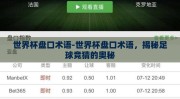 世界杯盘口术语-世界杯盘口术语，揭秘足球竞猜的奥秘