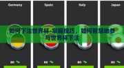 如何下注世界杯-掌握技巧，如何智慧地参与世界杯下注