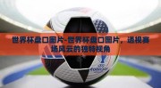 世界杯盘口图片-世界杯盘口图片，透视赛场风云的独特视角