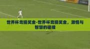 世界杯竞猜奖金-世界杯竞猜奖金，激情与智慧的碰撞
