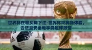 世界杯在哪买球下注-世界杯观赛新体验，合法且安全地享受足球激情