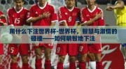 用什么下注世界杯-世界杯，智慧与激情的碰撞——如何明智地下注