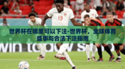 世界杯在哪里可以下注-世界杯，全球体育盛事与合法下注指南