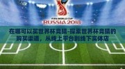 在哪可以买世界杯竞猜-探索世界杯竞猜的购买渠道，从线上平台到线下实体店