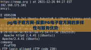 pg电子官方网-探索PG电子官方网的多样性与服务优势