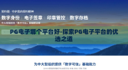 PG电子哪个平台好-探索PG电子平台的优选之道