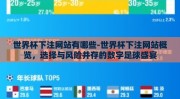世界杯下注网站有哪些-世界杯下注网站概览，选择与风险并存的数字足球盛宴