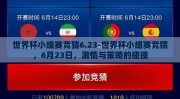 世界杯小组赛竞猜6.23-世界杯小组赛竞猜，6月23日，激情与策略的碰撞