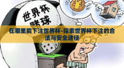 在哪里能下注世界杯-探索世界杯下注的合法与安全途径
