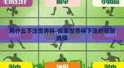 用什么下注世界杯-探索世界杯下注的智慧选择