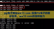 pg电子网址wx15 com-探索PG电子的精彩世界，wx15 com的独特魅力