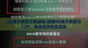 pg电子有官方网站吗-揭秘PG电子的官方门户，网络世界的正规军