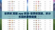 世界杯 竞猜 app 积分-世界杯竞猜，积分乐园的激情碰撞