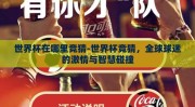 世界杯在哪里竞猜-世界杯竞猜，全球球迷的激情与智慧碰撞
