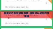 哪里可以买世界杯竞猜-哪里可以买世界杯竞猜
