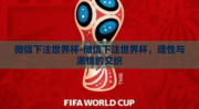 微信下注世界杯-微信下注世界杯，理性与激情的交织