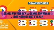 篮球世界杯预选赛下注-篮球世界杯预选赛，激情与策略并重的下注艺术