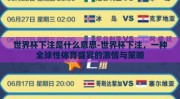 世界杯下注是什么意思-世界杯下注，一种全球性体育盛宴的激情与策略