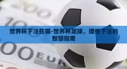 世界杯下注在哪-世界杯足球，理性下注的智慧指南