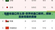 世界杯盘口怎么算-世界杯盘口解析，揭秘足球竞猜的奥秘