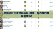 微博可以下注世界杯吗-微博，世界杯的数字竞技场？
