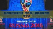 世界杯在那里下注-世界杯，激情与理性的交汇点