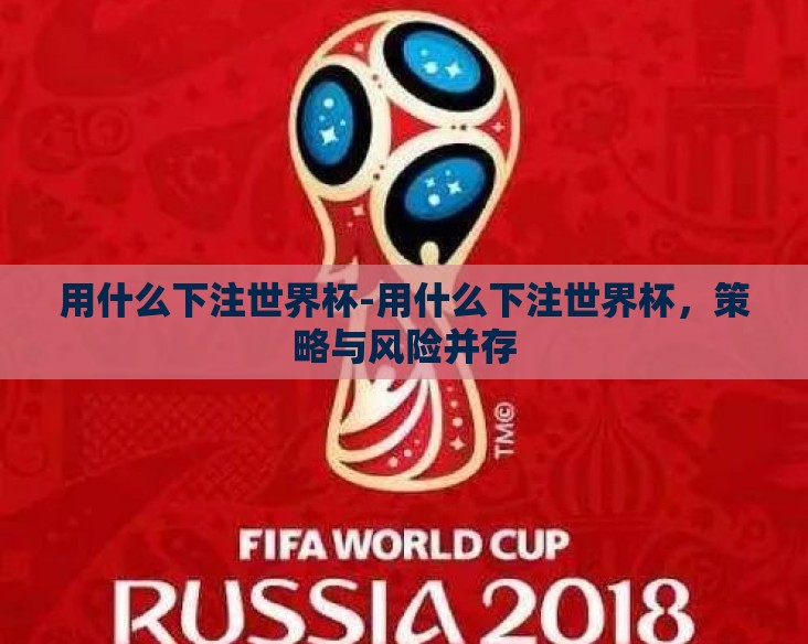 用什么下注世界杯-用什么下注世界杯，策略与风险并存