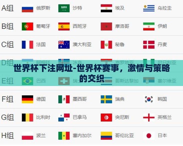世界杯下注网址-世界杯赛事，激情与策略的交织
