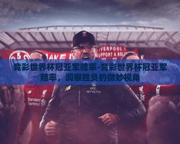 竞彩世界杯冠亚军赔率-竞彩世界杯冠亚军赔率，洞察胜负的微妙视角
