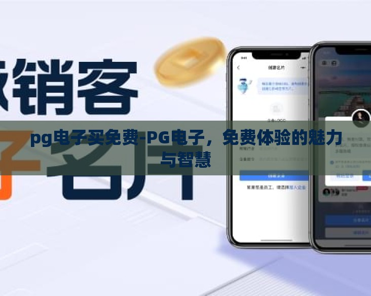 pg电子买免费-PG电子，免费体验的魅力与智慧