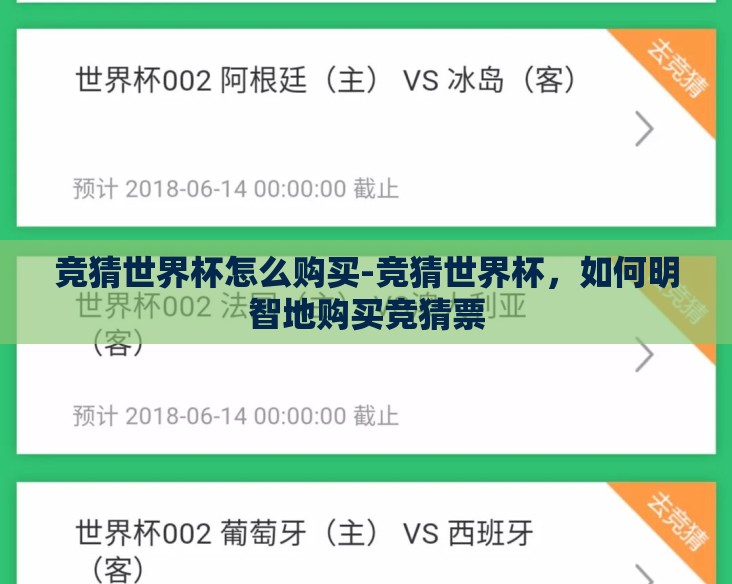 竞猜世界杯怎么购买-竞猜世界杯，如何明智地购买竞猜票