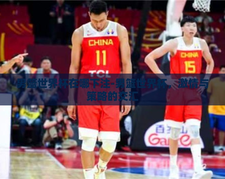 男篮世界杯在哪下注-男篮世界杯，激情与策略的交汇