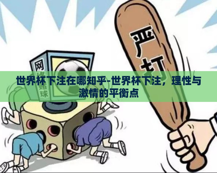 世界杯下注在哪知乎-世界杯下注，理性与激情的平衡点