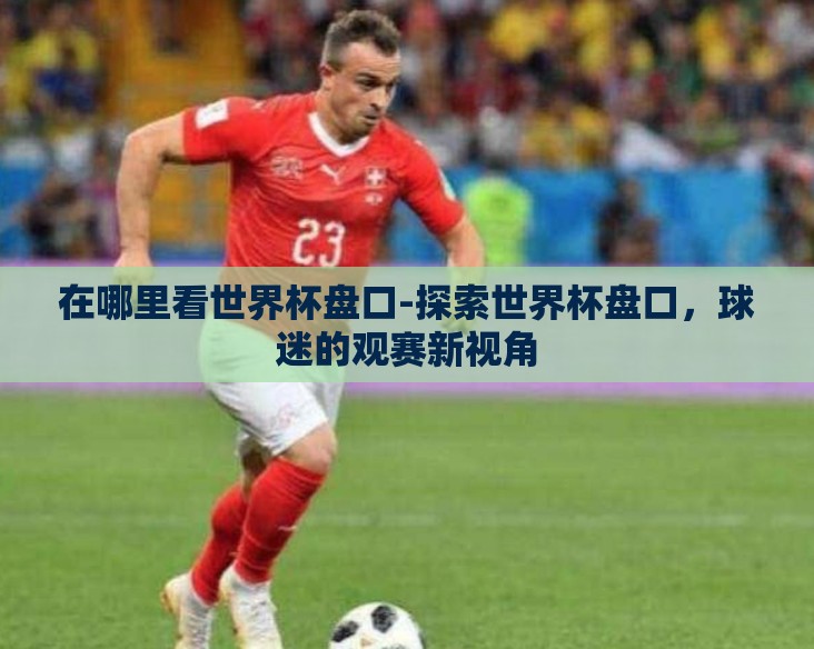 在哪里看世界杯盘口-探索世界杯盘口，球迷的观赛新视角