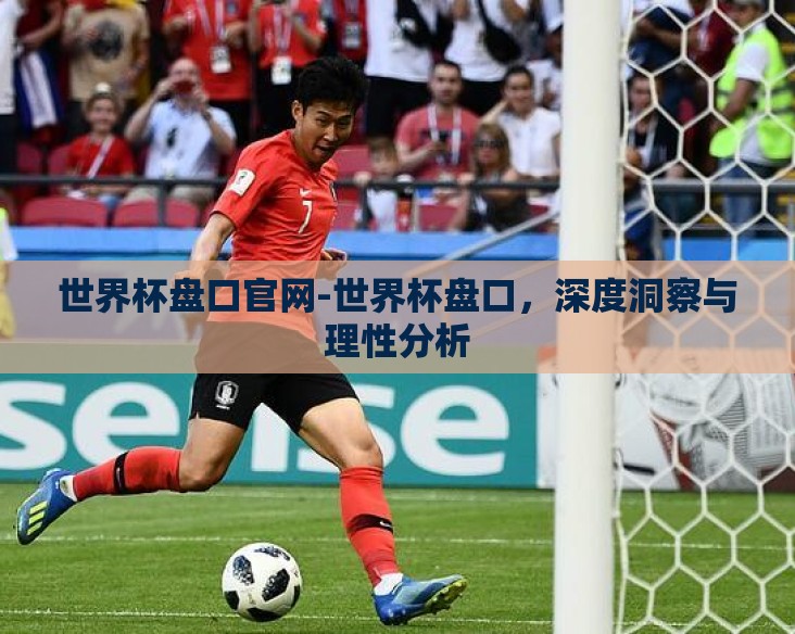 世界杯盘口官网-世界杯盘口，深度洞察与理性分析