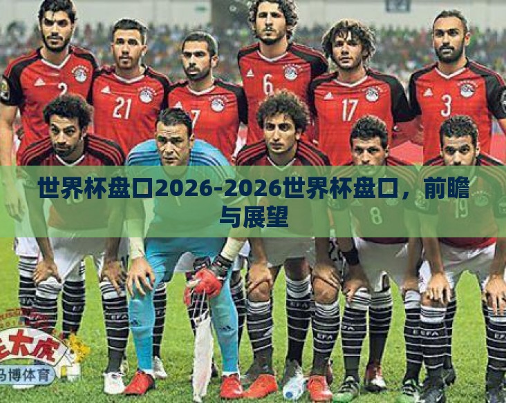 世界杯盘口2026-2026世界杯盘口，前瞻与展望