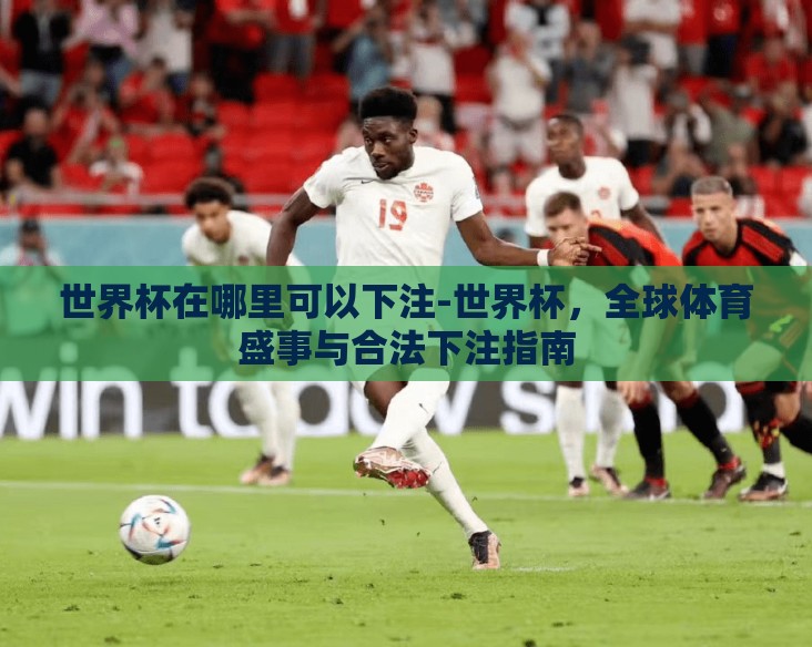 世界杯在哪里可以下注-世界杯，全球体育盛事与合法下注指南