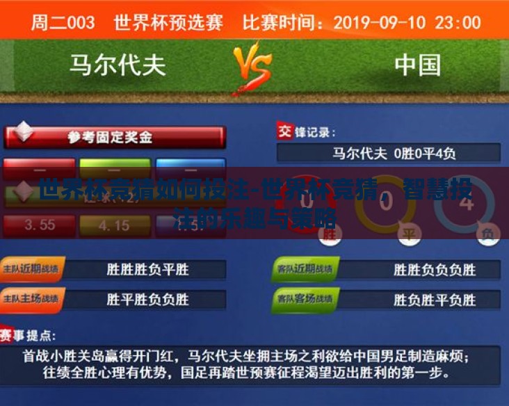 世界杯竞猜如何投注-世界杯竞猜，智慧投注的乐趣与策略