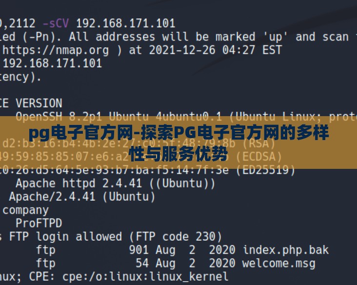 pg电子官方网-探索PG电子官方网的多样性与服务优势
