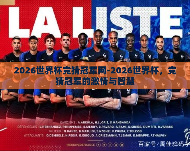 2026世界杯竞猜冠军网-2026世界杯，竞猜冠军的激情与智慧