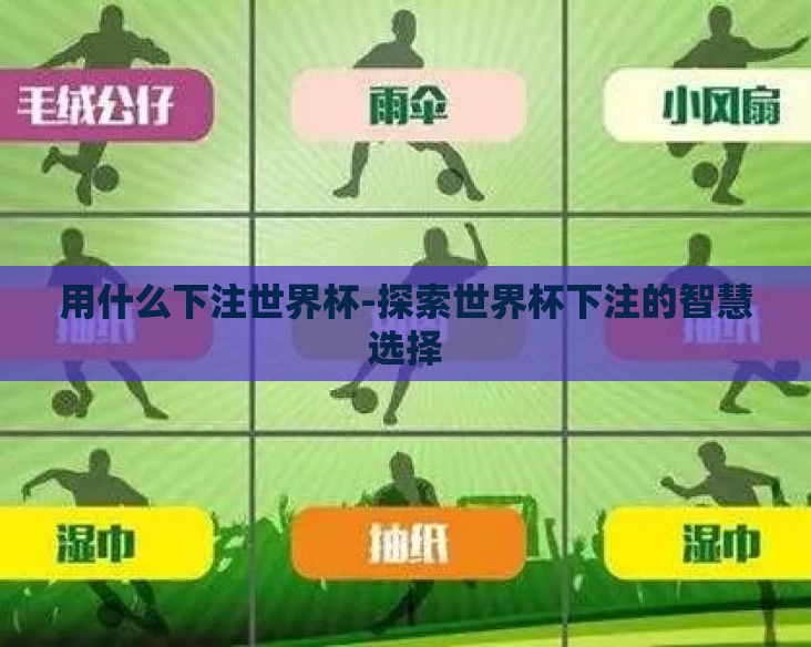 用什么下注世界杯-探索世界杯下注的智慧选择 用什么下注世界杯-探索世界杯下注的智慧选择