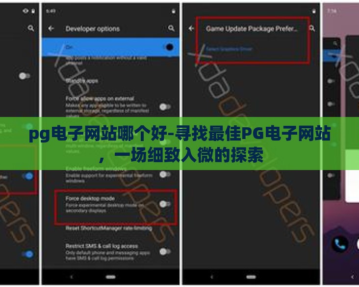 pg电子网站哪个好-寻找最佳PG电子网站，一场细致入微的探索